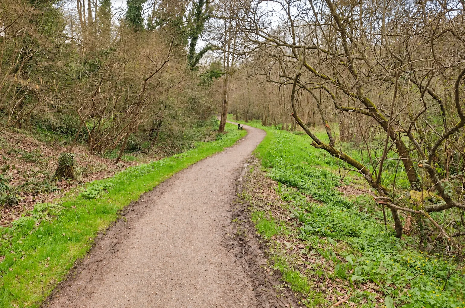 Le chemin des Renards, un sentier bordé d’arbres près de l’école.