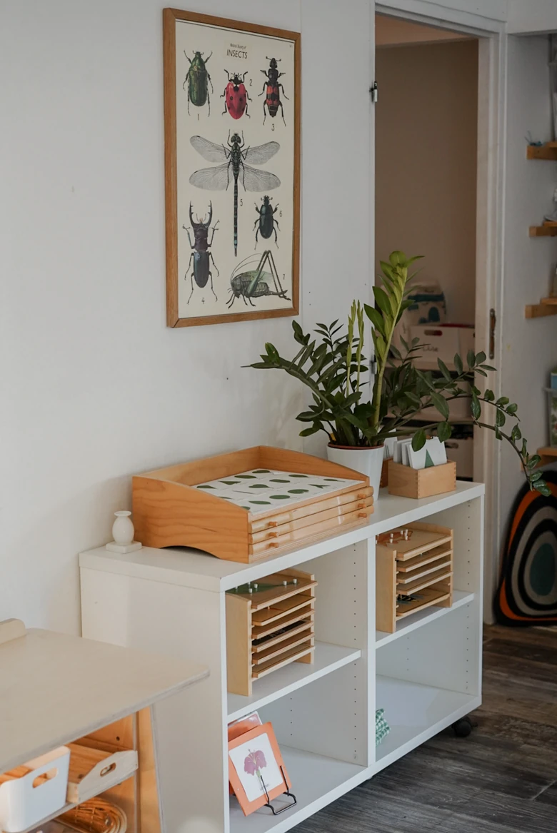 Une plante, une affiche d’insectes et le matériel Montessori de botanique.